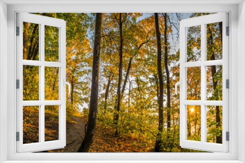 Fototapeta Naklejka Na Ścianę Okno 3D - pathway in autumn forest 