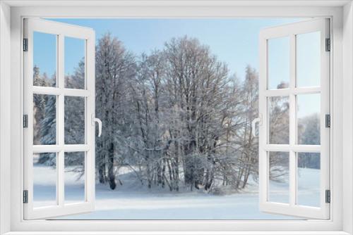 Fototapeta Naklejka Na Ścianę Okno 3D - Beautiful winter countryside in Czech Republic with blue sky, Jeseniky, Rejviz