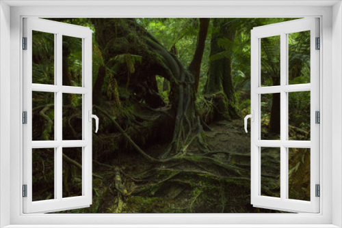 Fototapeta Naklejka Na Ścianę Okno 3D - Tree in Forest