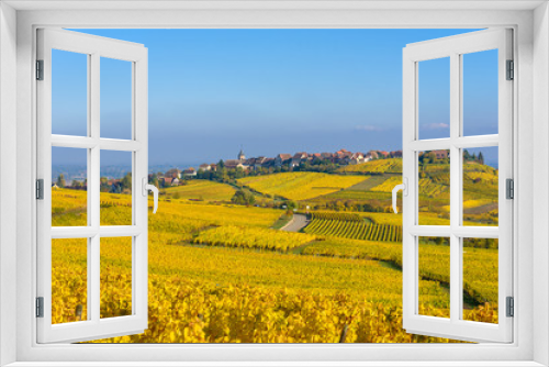 Fototapeta Naklejka Na Ścianę Okno 3D - Beautiful autumn landscape with vineyards near the historic village of Riquewihr, Alsace, France - Europe. Colorful travel and wine-making background. Travel destination for vacation.