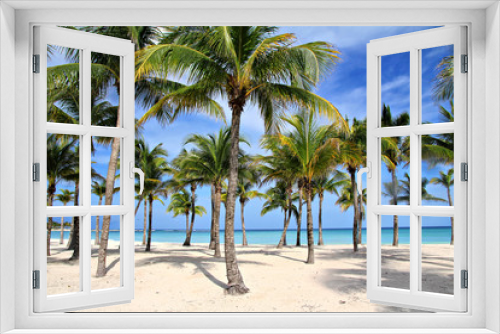 Fototapeta Naklejka Na Ścianę Okno 3D - Palms on the blue sea and sky background, shallow focus