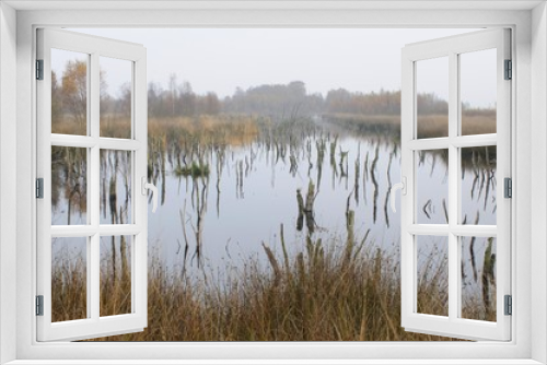 Fototapeta Naklejka Na Ścianę Okno 3D - Bog pond in autumn, Dutch raised bog reserve Bargerveen, Netherlands, Europe
