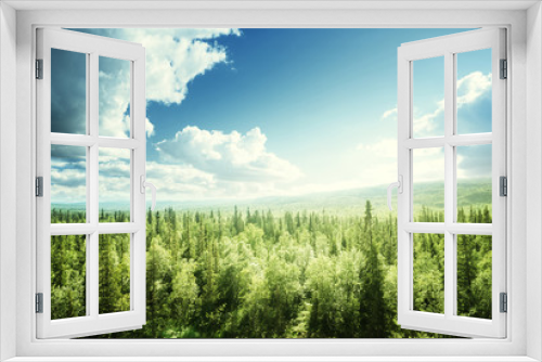 Fototapeta Naklejka Na Ścianę Okno 3D - forest in sunny day