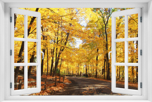 Fototapeta Naklejka Na Ścianę Okno 3D - Autumn nature background. Colors of the autumn at medwest USA. Fall landscape with a rural road across a golden woods. Horizontal shot.