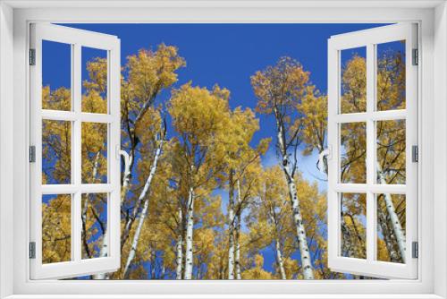 Fototapeta Naklejka Na Ścianę Okno 3D - golden aspens
