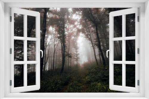 Fototapeta Naklejka Na Ścianę Okno 3D - dark forest path mystery landscape