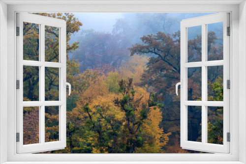 Fototapeta Naklejka Na Ścianę Okno 3D - Scenic landscape of autumn forest