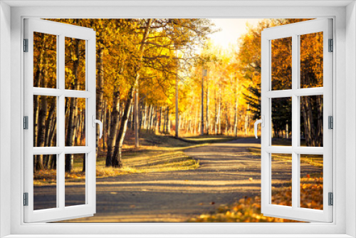 Fototapeta Naklejka Na Ścianę Okno 3D - Winding Autumn Road