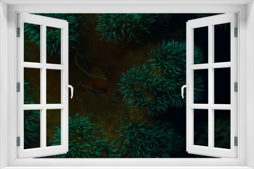 Fototapeta Naklejka Na Ścianę Okno 3D - diving background bubbles underwater