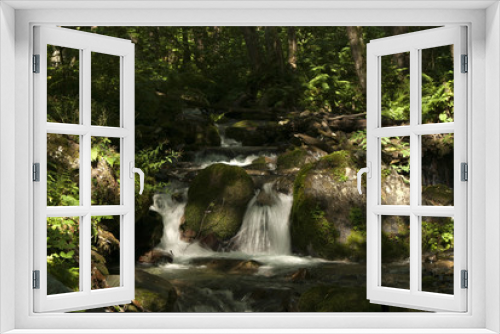 Fototapeta Naklejka Na Ścianę Okno 3D - Current from the dark forest thicket with a small waterfall among the ferns
