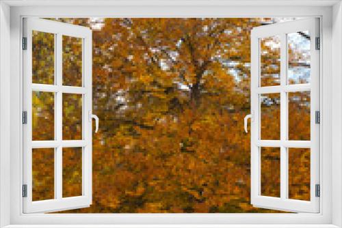 Fototapeta Naklejka Na Ścianę Okno 3D - yellow autumn trees. season. autumn walks. a park . autumn alley