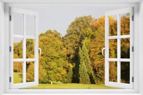 Fototapeta Naklejka Na Ścianę Okno 3D - Der Herbst 1