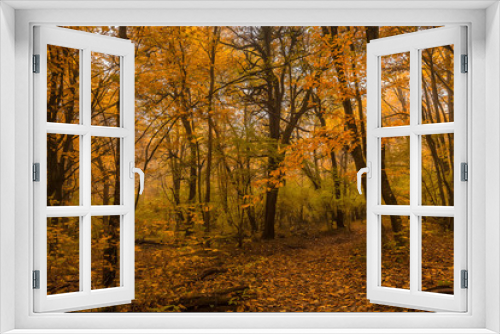 Fototapeta Naklejka Na Ścianę Okno 3D - Scenic landscape of autumn forest