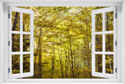 Fototapeta Naklejka Na Ścianę Okno 3D - Herbstwald impressionen