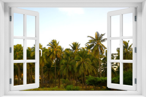 Fototapeta Naklejka Na Ścianę Okno 3D - Palm trees in the tropics