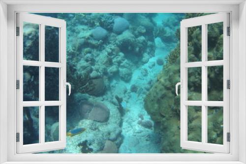 Fototapeta Naklejka Na Ścianę Okno 3D - fond sous marin