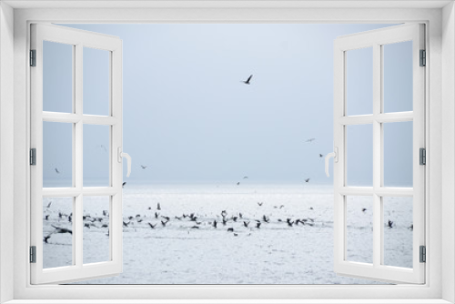Fototapeta Naklejka Na Ścianę Okno 3D - 鳥の群れと海霧