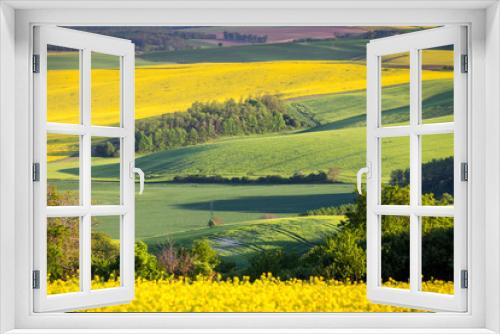 Fototapeta Naklejka Na Ścianę Okno 3D - Green summer landscape scenic view