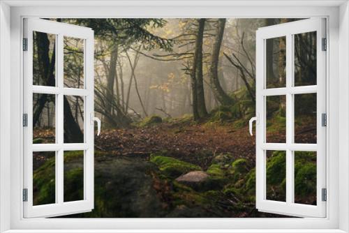 Fototapeta Naklejka Na Ścianę Okno 3D - magic forest in the fog