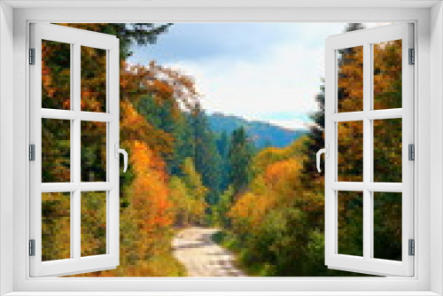 Fototapeta Naklejka Na Ścianę Okno 3D - Mountain road in the Carpathians in the autumn.