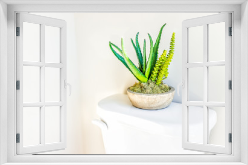 Fototapeta Naklejka Na Ścianę Okno 3D - Modern clean white toilet in restroom with macro closeup of green succulent cactus plant decoration