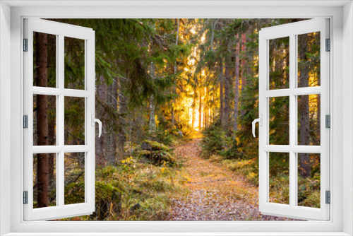 Fototapeta Naklejka Na Ścianę Okno 3D - Autumn in Finland, lake and forest, sunset, nature photography. Travel.