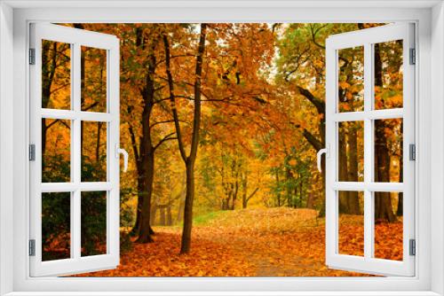 Fototapeta Naklejka Na Ścianę Okno 3D - Autumn valley
