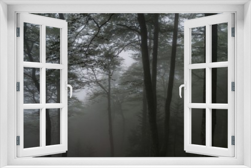 Fototapeta Naklejka Na Ścianę Okno 3D - Vallee de la Glere