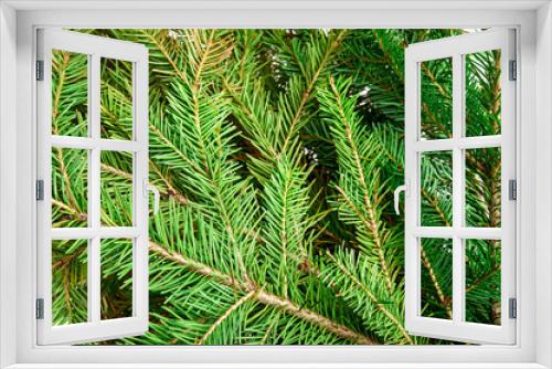 Fototapeta Naklejka Na Ścianę Okno 3D - Christmas background with green fir tree branches isolated on white background.