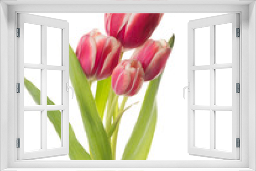 Fototapeta Naklejka Na Ścianę Okno 3D - beautiful flowers of a bouquet tulip