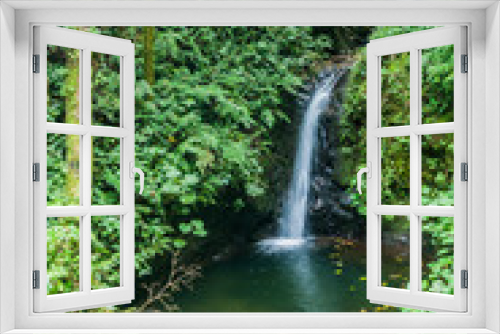 Fototapeta Naklejka Na Ścianę Okno 3D - San Luis waterfall in a cloud forest of Reserva Biologica Bosque Nuboso Monteverde, Costa Rica