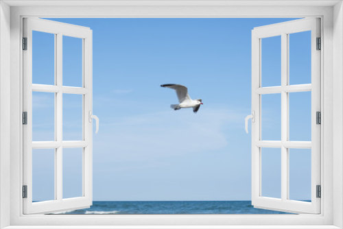Fototapeta Naklejka Na Ścianę Okno 3D - Seagull on the Mediterranean sea