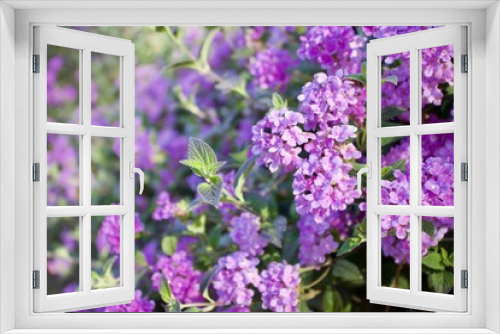 Fototapeta Naklejka Na Ścianę Okno 3D - Lovely Lilac