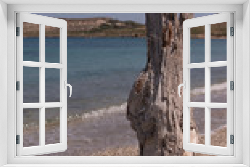 Fototapeta Naklejka Na Ścianę Okno 3D - Arbre mort sur la plage