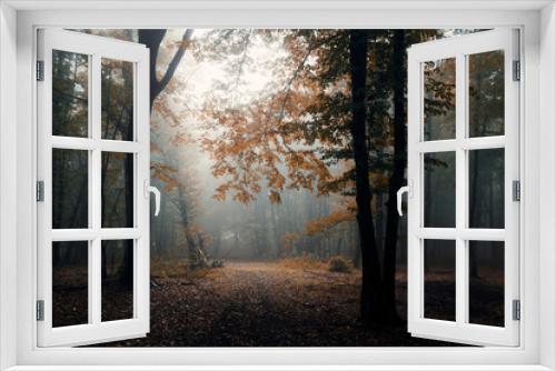 Fototapeta Naklejka Na Ścianę Okno 3D - autumn in misty forest