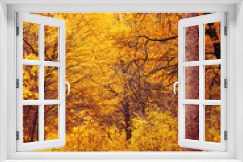 Fototapeta Naklejka Na Ścianę Okno 3D - Photo of orange autumn forest with leaves and road