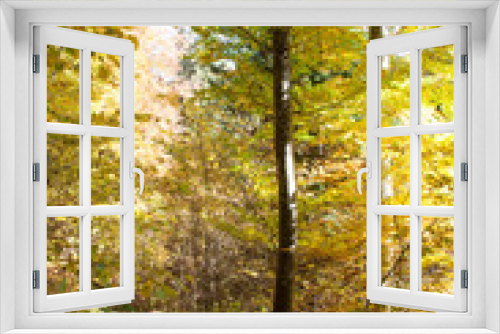Fototapeta Naklejka Na Ścianę Okno 3D - Herbststimmung