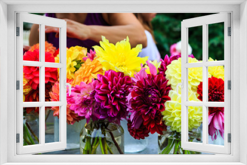 Fototapeta Naklejka Na Ścianę Okno 3D - Dahlias fresh from garden in out door farm setting in Pennsylvania