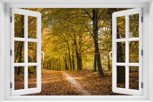 Fototapeta Naklejka Na Ścianę Okno 3D - Scenic View Of Autumn Forest