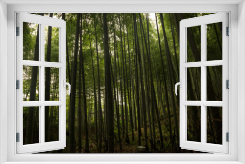 Fototapeta Naklejka Na Ścianę Okno 3D - Bamboo forest inside the Arashiyama Bamboo Grove, Kyoto, Japan