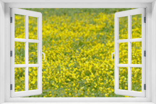 Fototapeta Naklejka Na Ścianę Okno 3D - Fields of wild flowers