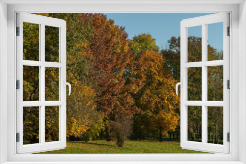 Fototapeta Naklejka Na Ścianę Okno 3D - Jesienny park miejski
