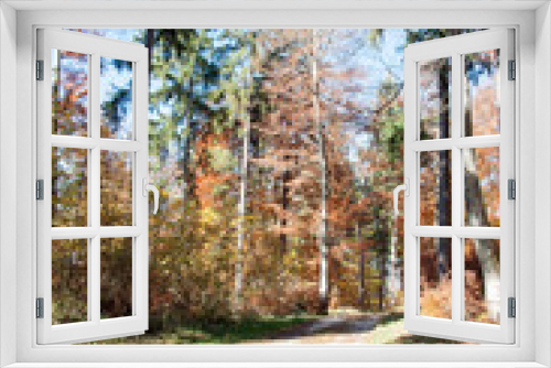 Fototapeta Naklejka Na Ścianę Okno 3D - Herbstidyll