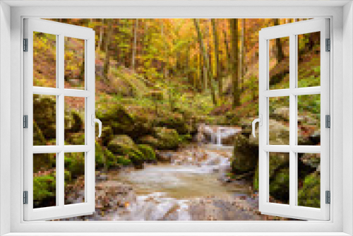 Fototapeta Naklejka Na Ścianę Okno 3D - Herbstidylle im Wald im goldenen Herbst 
