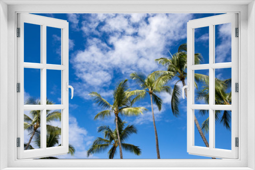 Fototapeta Naklejka Na Ścianę Okno 3D - Hawaii island's palm trees and blue sky