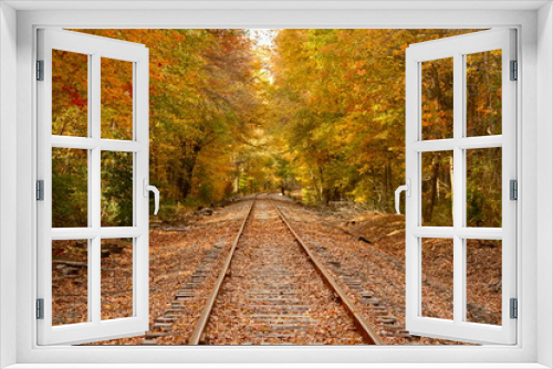 Fototapeta Naklejka Na Ścianę Okno 3D - railroad fall pathway