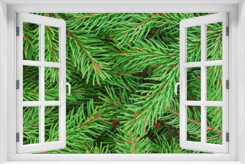 Fototapeta Naklejka Na Ścianę Okno 3D - Background of natural fresh fir branches