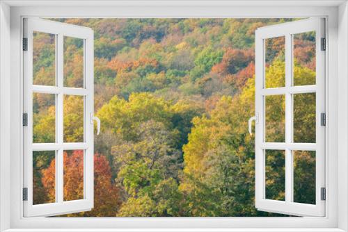 Fototapeta Naklejka Na Ścianę Okno 3D - bunter herbstwald