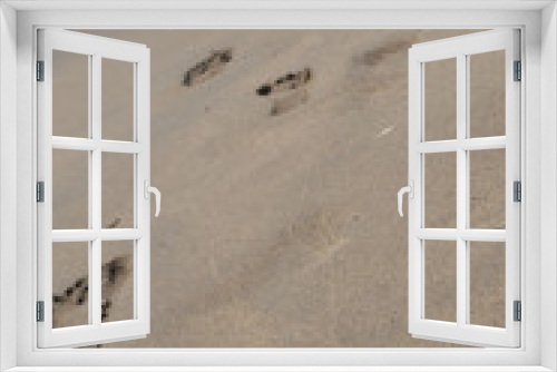 Fototapeta Naklejka Na Ścianę Okno 3D - Footprints in the sand