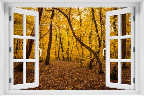 Fototapeta Naklejka Na Ścianę Okno 3D - Autumn landscape with yellow forest